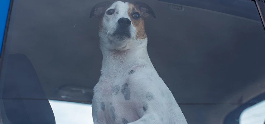 Car Lockout Solutions in San Diego, California